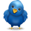Urmareste BloggerIn.ro pe Twitter